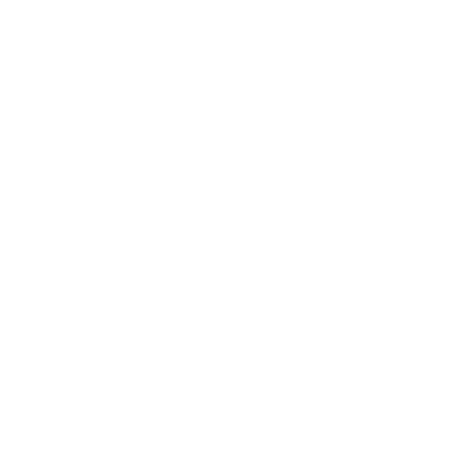 fokus